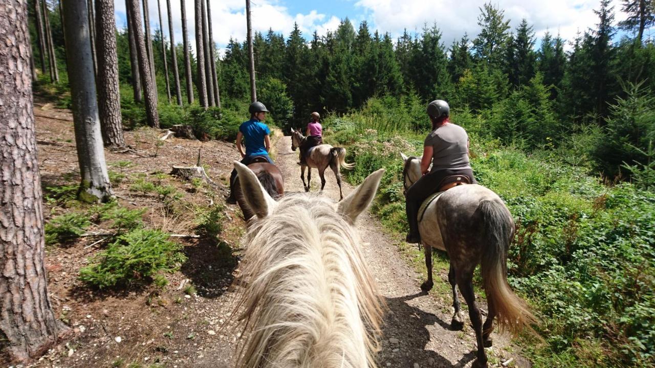 Pferdehof Koaser Minerl Ampflwang im Hausruckwald Esterno foto